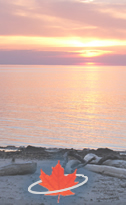 Summer 2010